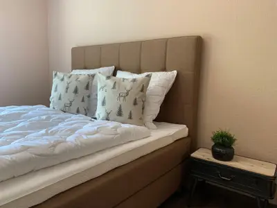 Ferienwohnung für 8 Personen (135 m²) in Goslar-Hahnenklee 6/10