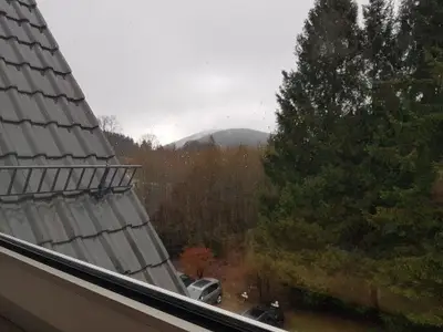 Ferienwohnung für 3 Personen (47 m²) in Goslar-Hahnenklee 7/8