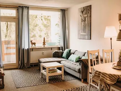 Ferienwohnung für 4 Personen (48 m²) in Goslar-Hahnenklee 3/10