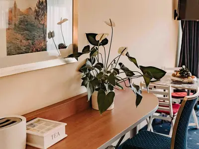 Ferienwohnung für 3 Personen (32 m²) in Goslar-Hahnenklee 5/10