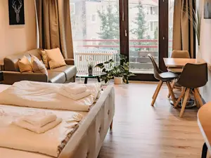 Ferienwohnung für 3 Personen (30 m²) in Goslar-Hahnenklee