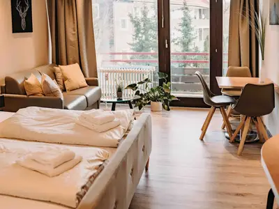 Ferienwohnung für 3 Personen (30 m²) in Goslar-Hahnenklee 1/10