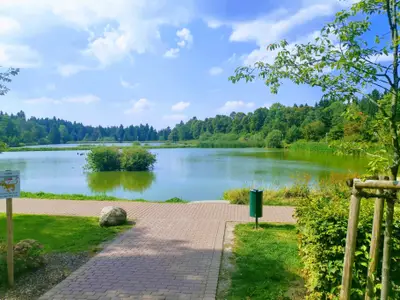 Ferienwohnung für 4 Personen (32 m²) in Goslar-Hahnenklee 2/10