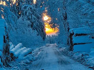 Ferienwohnung für 4 Personen (40 m²) in Goslar-Hahnenklee 8/10