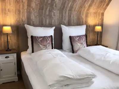 Ferienwohnung für 3 Personen (50 m²) in Goslar-Hahnenklee 4/10