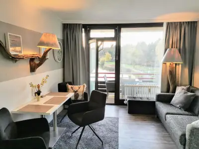 Ferienwohnung für 4 Personen (32 m²) in Goslar-Hahnenklee 2/10