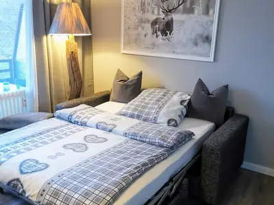 Ferienwohnung für 4 Personen (32 m²) in Goslar-Hahnenklee 10/10