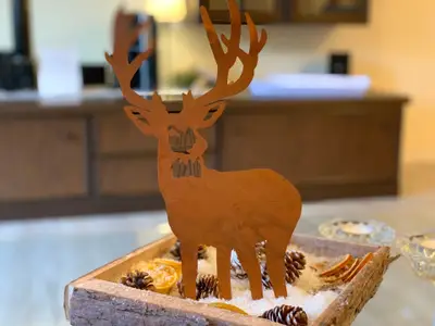 Ferienwohnung für 3 Personen (54 m²) in Goslar-Hahnenklee 4/10