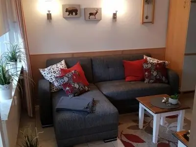 Ferienwohnung für 4 Personen (39 m²) in Goslar-Hahnenklee 2/10