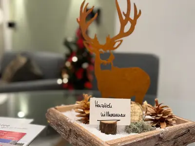 Ferienwohnung für 3 Personen (54 m²) in Goslar-Hahnenklee 2/10