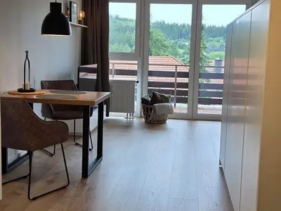 Ferienwohnung für 2 Personen (36 m²) in Goslar-Hahnenklee 5/10