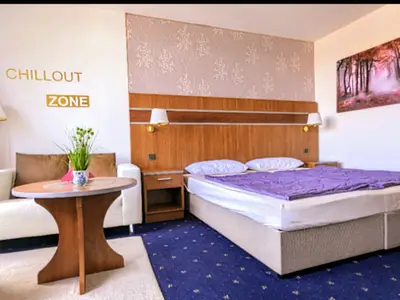 Ferienwohnung für 2 Personen (30 m²) in Goslar-Hahnenklee 3/10