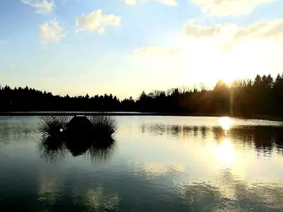 Ferienwohnung für 2 Personen (30 m²) in Goslar-Hahnenklee 8/10