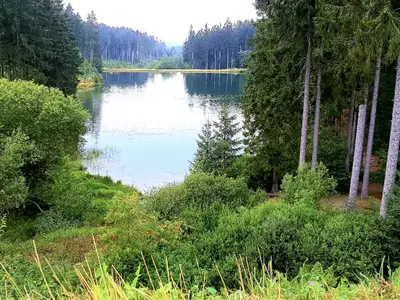 Ferienwohnung für 2 Personen (30 m²) in Goslar-Hahnenklee 9/10