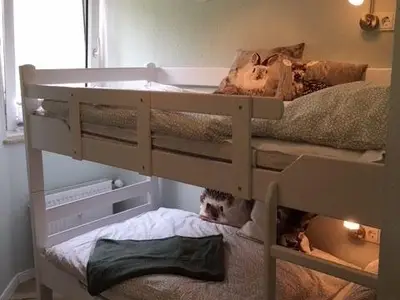 Ferienwohnung für 4 Personen (50 m²) in Goslar-Hahnenklee 6/10