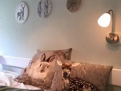 Ferienwohnung für 4 Personen (50 m²) in Goslar-Hahnenklee 7/10