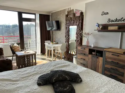 Ferienwohnung für 2 Personen (32 m²) in Goslar-Hahnenklee 5/10