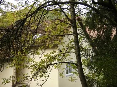 Ferienwohnung für 6 Personen (75 m²) in Gößweinstein 4/10