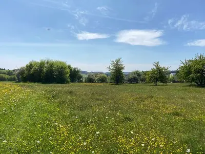 Ferienwohnung für 5 Personen (70 m²) in Gößweinstein 4/10
