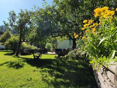 der weitläufige Garten im Sommer