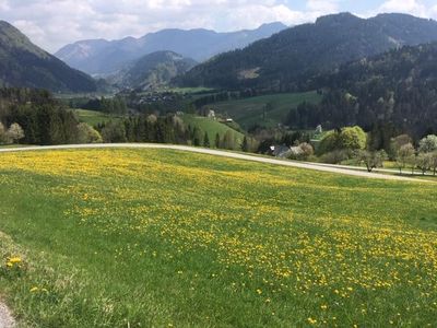 Frühling in Göstling