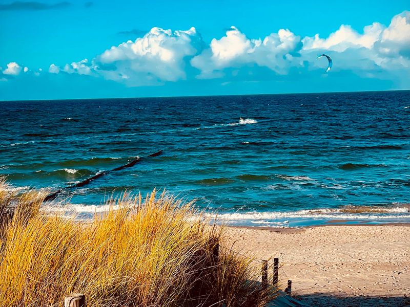 23964899-Ferienwohnung-2-Graal-Müritz (Ostseeheilbad)-800x600-0