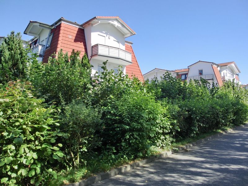 23964912-Ferienwohnung-4-Graal-Müritz (Ostseeheilbad)-800x600-0