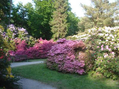 Ferienwohnung für 4 Personen (50 m²) in Graal-Müritz (Ostseeheilbad) 7/10