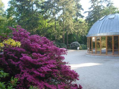 Ferienwohnung für 3 Personen (50 m²) in Graal-Müritz (Ostseeheilbad) 3/10