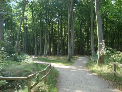 Ferienwohnung für 6 Personen (86 m²) in Graal-Müritz (Ostseeheilbad) 5/10