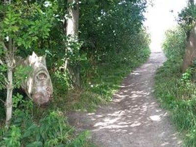 Ferienwohnung für 2 Personen (40 m²) in Graal-Müritz (Ostseeheilbad) 6/10