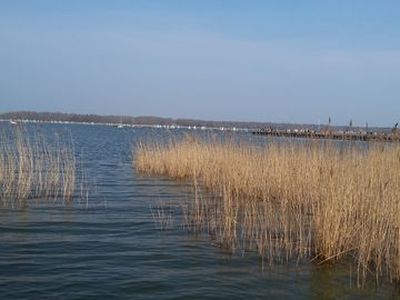 Ferienwohnung für 2 Personen (40 m²) in Graal-Müritz (Ostseeheilbad) 8/10