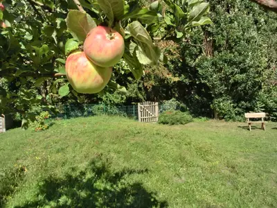 Gartenblick