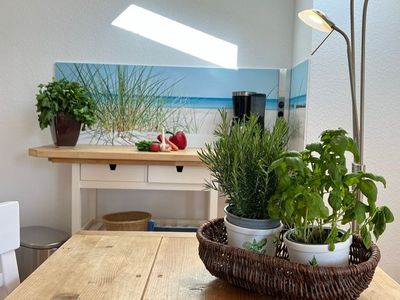 Ferienwohnung für 3 Personen (47 m²) in Graal-Müritz (Ostseeheilbad) 6/10