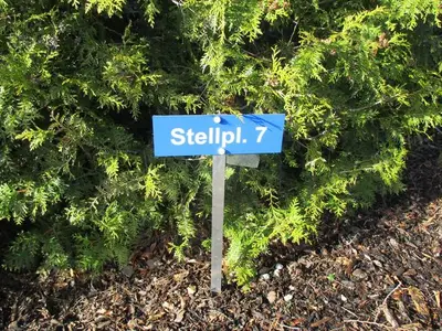 Ferienwohnung für 2 Personen (24 m²) in Graal-Müritz (Ostseeheilbad) 4/10