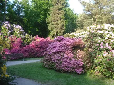 Ferienwohnung für 3 Personen (41 m²) in Graal-Müritz (Ostseeheilbad) 4/10