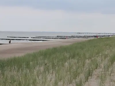 Ferienwohnung für 5 Personen (60 m²) in Graal-Müritz (Ostseeheilbad) 6/8