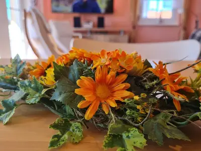 Ferienwohnung für 3 Personen (50 m²) in Graal-Müritz (Ostseeheilbad) 8/10