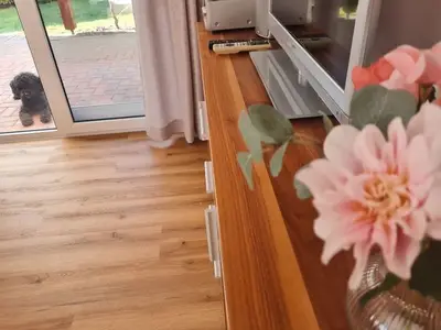 Ferienwohnung für 5 Personen (48 m²) in Graal-Müritz (Ostseeheilbad) 8/10