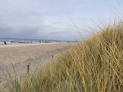 Ferienwohnung für 4 Personen (56 m²) in Graal-Müritz (Ostseeheilbad) 10/10