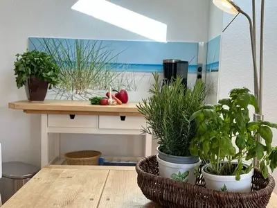 Ferienwohnung für 3 Personen (47 m²) in Graal-Müritz (Ostseeheilbad) 6/10