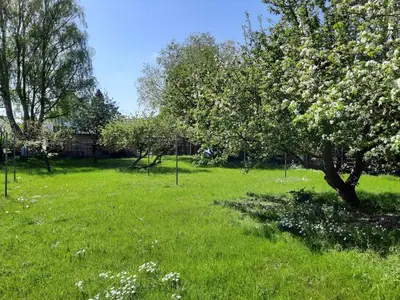 Ferienwohnung für 2 Personen (48 m²) in Graal-Müritz (Ostseeheilbad) 9/10