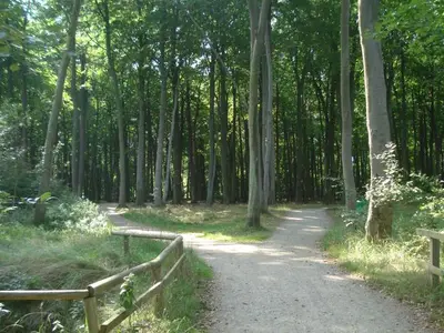 Ferienwohnung für 3 Personen (60 m²) in Graal-Müritz (Ostseeheilbad) 8/10
