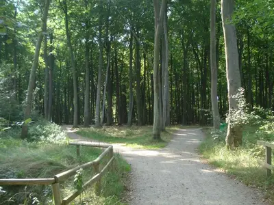 Ferienwohnung für 2 Personen (45 m²) in Graal-Müritz (Ostseeheilbad) 5/10
