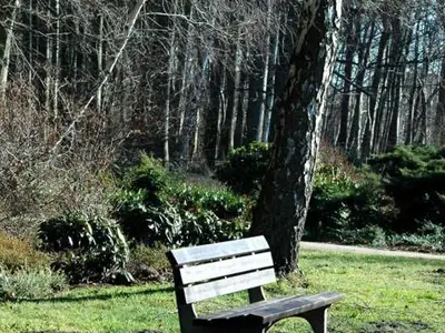 Ferienwohnung für 4 Personen (65 m²) in Graal-Müritz (Ostseeheilbad) 8/10
