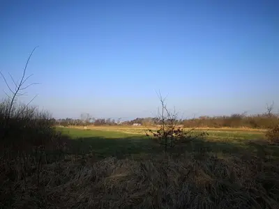 Ferienwohnung für 2 Personen (60 m²) in Graal-Müritz (Ostseeheilbad) 3/10