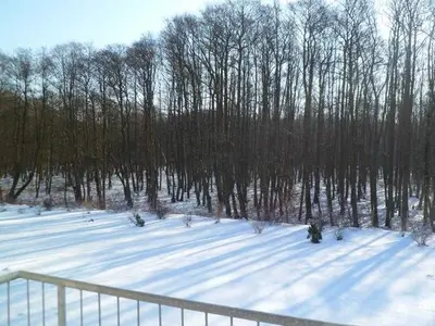 Ferienwohnung für 3 Personen (40 m²) in Graal-Müritz (Ostseeheilbad) 2/10
