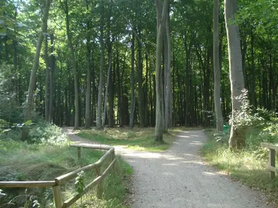 Ferienwohnung für 2 Personen (50 m²) in Graal-Müritz (Ostseeheilbad) 6/10