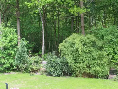 Ferienwohnung für 2 Personen (26 m²) in Graal-Müritz (Ostseeheilbad) 9/10