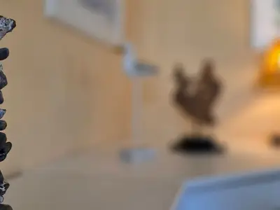 Ferienwohnung für 3 Personen (56 m²) in Graal-Müritz (Ostseeheilbad) 4/10